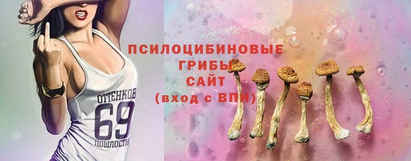 амф Сясьстрой