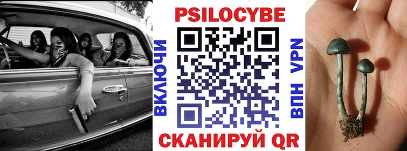 дарнет шоп  Белово  Псилоцибиновые грибы Psilocybine cubensis 