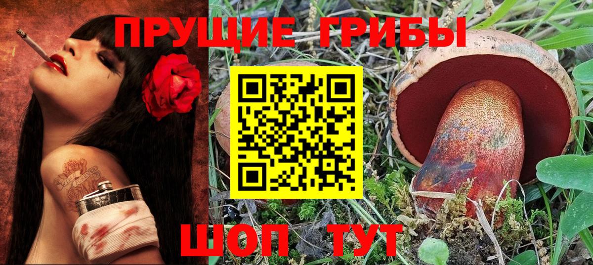 Галлюциногенные грибы Psilocybe Белово