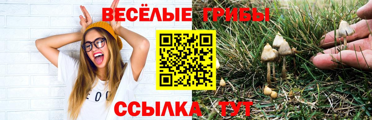 Галлюциногенные грибы ЛСД Белово