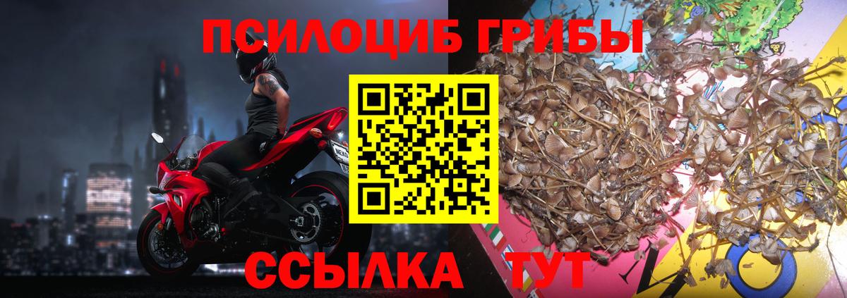 Псилоцибиновые грибы Psilocybe  Псилоцибиновые грибы MAGIC MUSHROOMS  Белово  Вход с VPN 