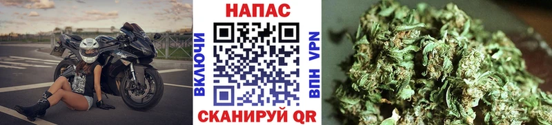 Бошки Шишки тримм Белово